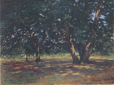 Wald von Fontainebleau von Claude Monet